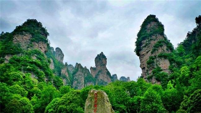 要關注了！湖南這6個國家森林公園總體規劃獲國家批復